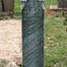 Bertha Bell Photo 23