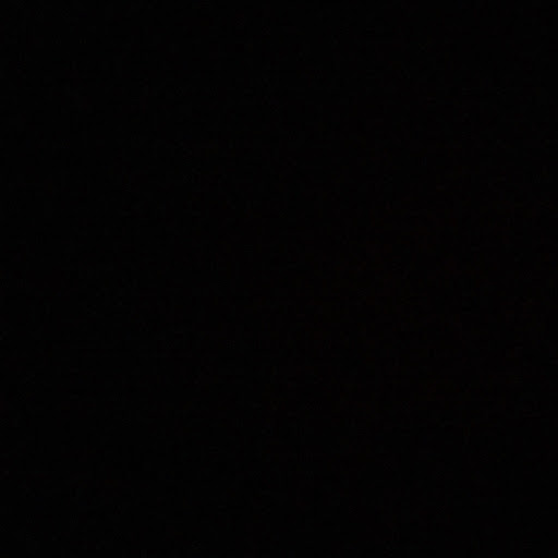 Julia Pieper Photo 7