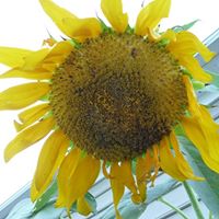 Victoria Moyer Photo 15