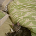 Dianne Jackson Photo 39
