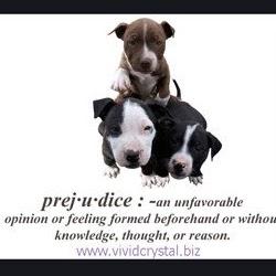 Robin Adkins Photo 6