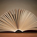 Dawn Book Photo 2