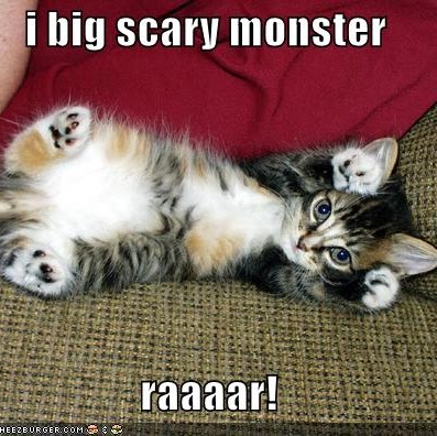 Emily Cross Photo 42