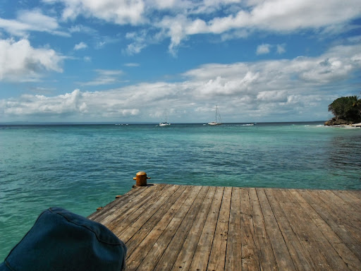 Cindy Jolly Photo 14