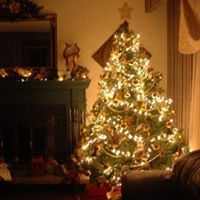 Diana Robertson Photo 14