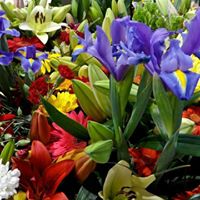 Vincent Lucas Photo 10