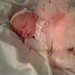 Elouise Olds Photo 7