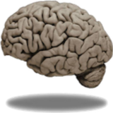 Marc Hauser Photo 26 Marc Hauser Photo 26