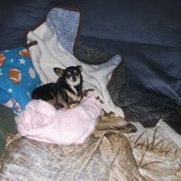 Kathryn Goodwin Photo 17