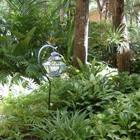 Vickie Frederick Photo 12