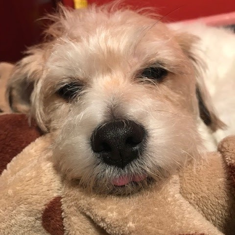 Marion Bell Photo 45