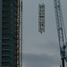 Brian Harrison Photo 15