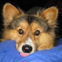 Barbara Meyer Photo 32