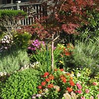 Kathy Zimmerman Photo 37