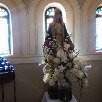 Ann Shurtz Photo 11