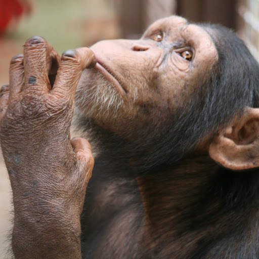 Colleen Reed Photo 26 Colleen Reed Photo 26