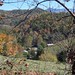 Elaine Yancey Photo 8