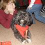 Lori Dunlap Photo 5