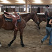 Heath Marshall Photo 5