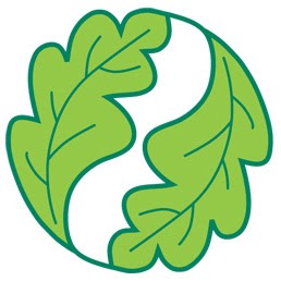 Debbie Gross Photo 13