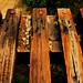 Jonathan Wallis Photo 13