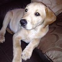 Carole Welsh Photo 18