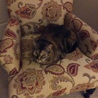 Beverly Baker Photo 41