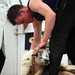 Mark Shears Photo 13