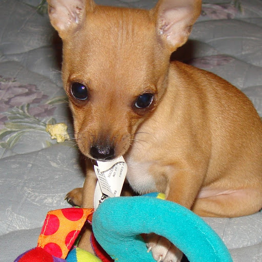 Lillian Rose Photo 7