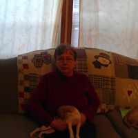 Sandy Dye Photo 26
