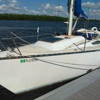 Stephen Benson Photo 26