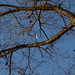 Sally Smith Photo 36