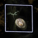David Burghardt Photo 9