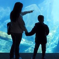 Victoria Fleming Photo 24