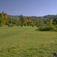 Sandra Covin Photo 4