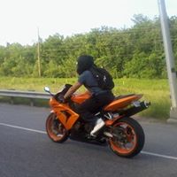 Daniel Colletti Photo 9