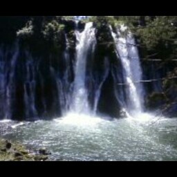 Carl Strong Photo 33