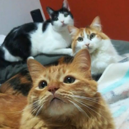 Carolina Granados Photo 18