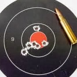 Joseph Deluca Photo 18