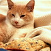 Cat Johnson Photo 30