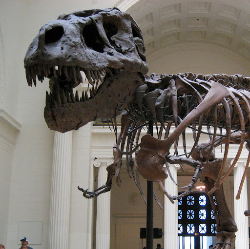 Steven Link Photo 10