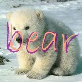 Drew Robertson Photo 15