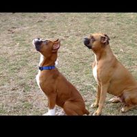 Matthew Dunlap Photo 7