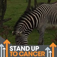 Paul Garland Photo 16