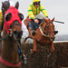 Harry Skelton Photo 15