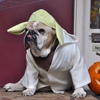 Michelle Parrish Photo 17