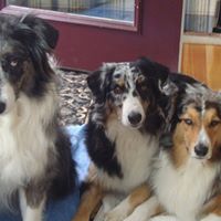 Dan Conrad Photo 11 Dan Conrad Photo 11