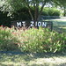 Jane Dewees Photo 4