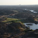 David Gebel Photo 18