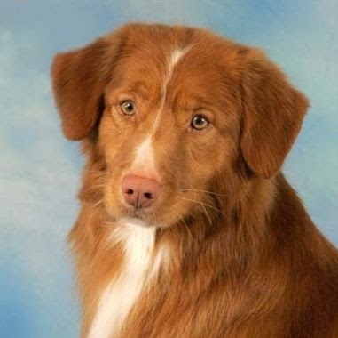 Terri Krause Photo 24